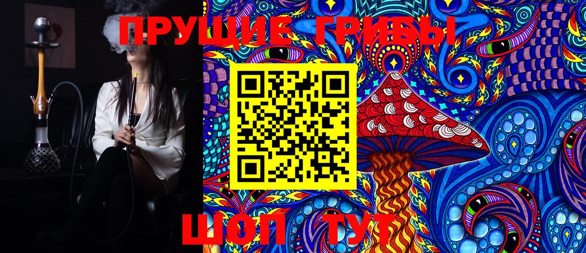 Ишим  Псилоцибиновые грибы Cubensis  Вход с VPN 