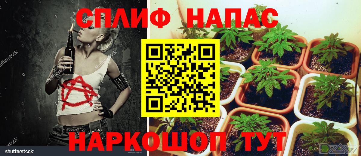 Ишим  Конопля гибрид  Конопля Bruce Banner  Вход с VPN 